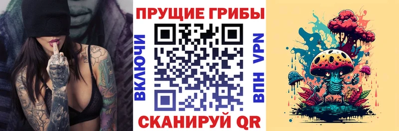 где купить наркоту МЕГА ССЫЛКА Галлюциногенные грибы Magic Shrooms Дудинка